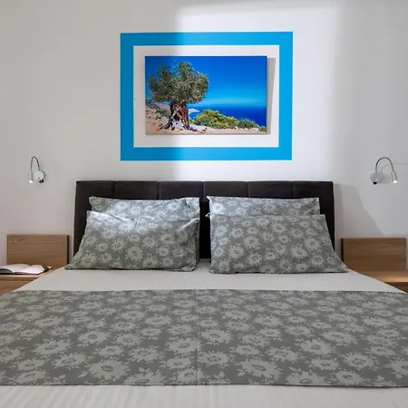 Maistrali Elia * 萨尔蒂